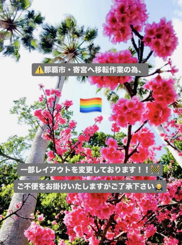 ✨ 🏝️ 店内状況 🏝️ ✨